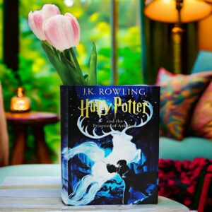 Harry Potter and The Prisoner of Azkaban Vase - Immagine 5